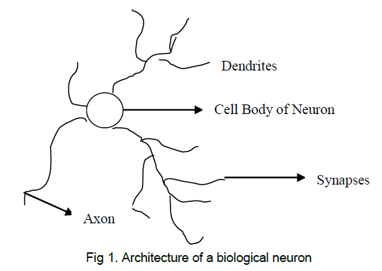 black-sea-biological